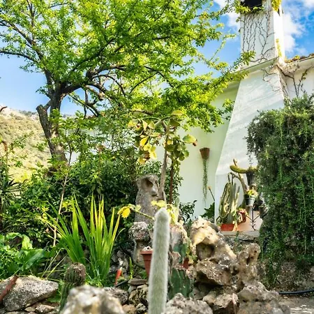 Casa vacanze Cactus *
